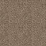 Shake it Up 25oz - 200 - Bits of Brown (UPGRADE)