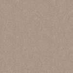Take Away 15oz - 121 - Summer Sand