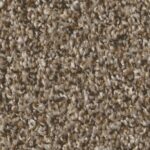 Cape Canaveral 25oz - 705 - Nutria